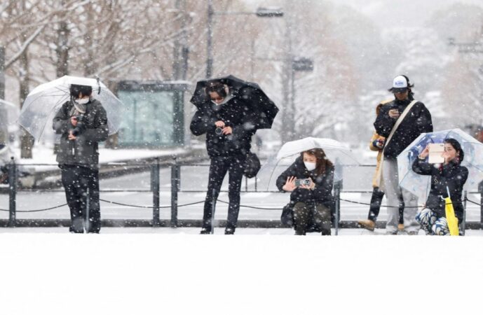 VIDEO/ Moti ekstrem në Japoni, bora arrin në 4.5 metra, shkon në 46 numri i viktimave
