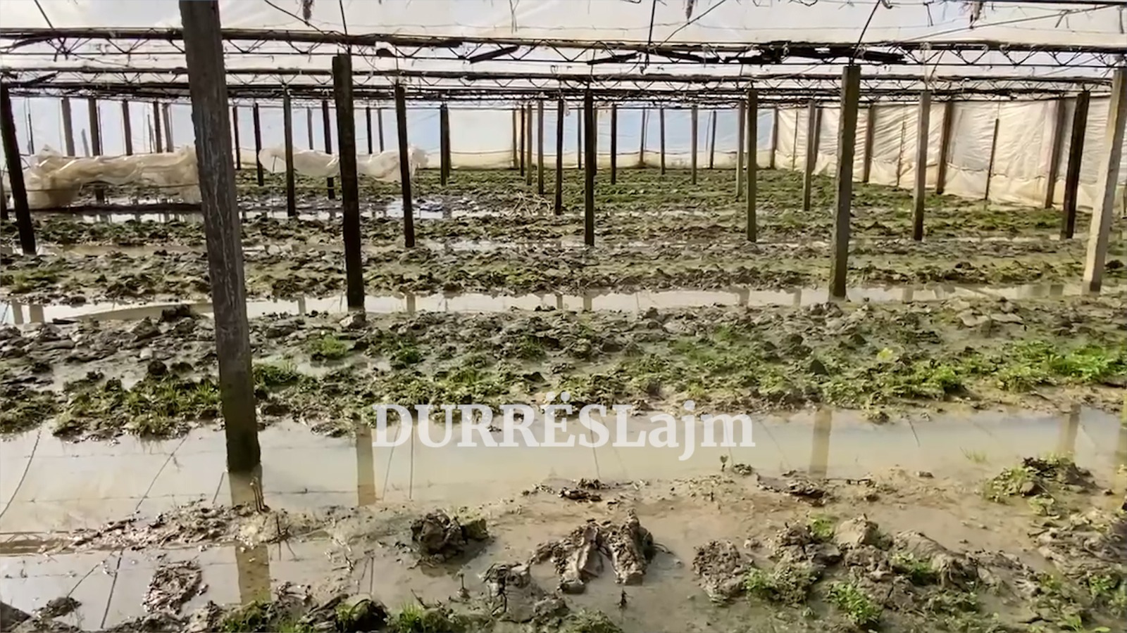 Përmbyten tokat bujqësore të fermerëve në Katund të Ri (VIDEO)