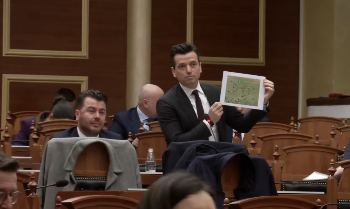 “Durana Park, një skemë mashtrimi” – Shehaj nxjerr foton në Kuvend: Realiteti është një fushë me lopë!