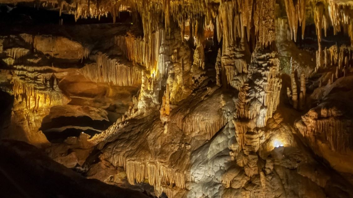Zbulimi befasues shkencor! Gjenden mikrobe të paprekura për 11 milionë vjet në një shpellë në New Mexico, hapen skenarë të rinj për jetën jashtëtokësore!