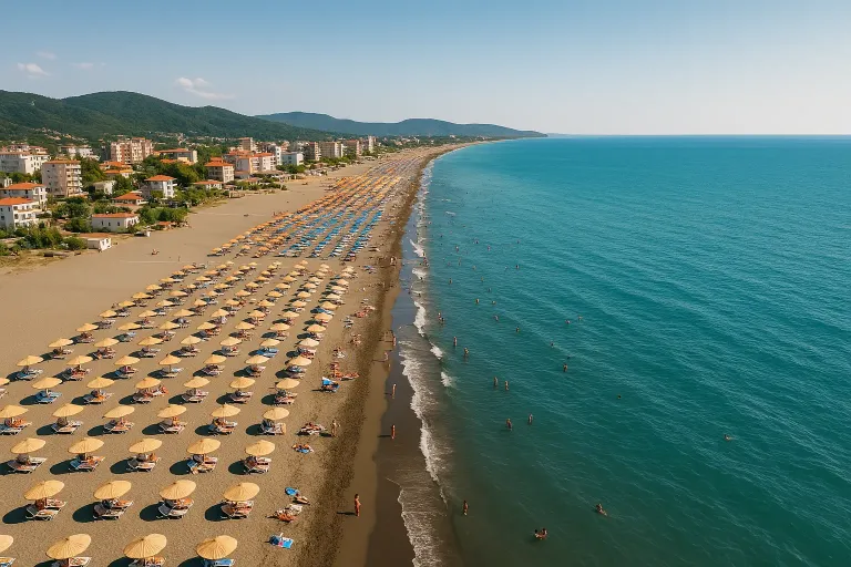 IMT nis verifikimet në Velipojë, thirrje bizneseve për çmontimin e strukturave deri më 5 mars