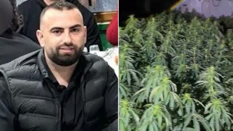 Iu gjetën katër mijë rrënjë kanabisi në banesë, lirohet drejtori i burgut të Rrogozhinës, Bilal Hasa