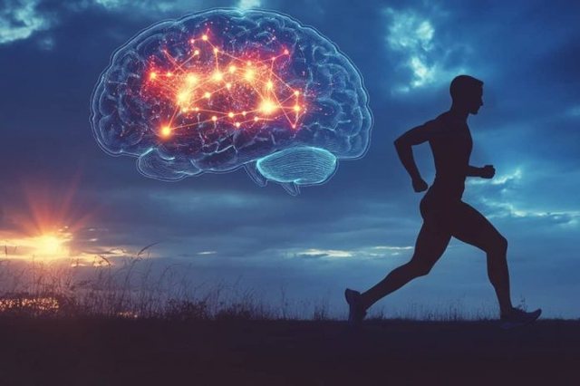 Ushtrimet fizike “riprogramojnë” trurin dhe luftojnë lodhjen mendore
