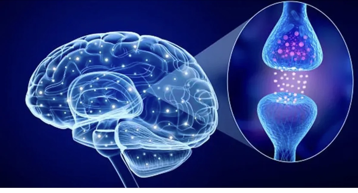 Flokët si tregues i hershëm i sëmundjes së Parkinsonit, çfarë zbuluan shkencëtarët 