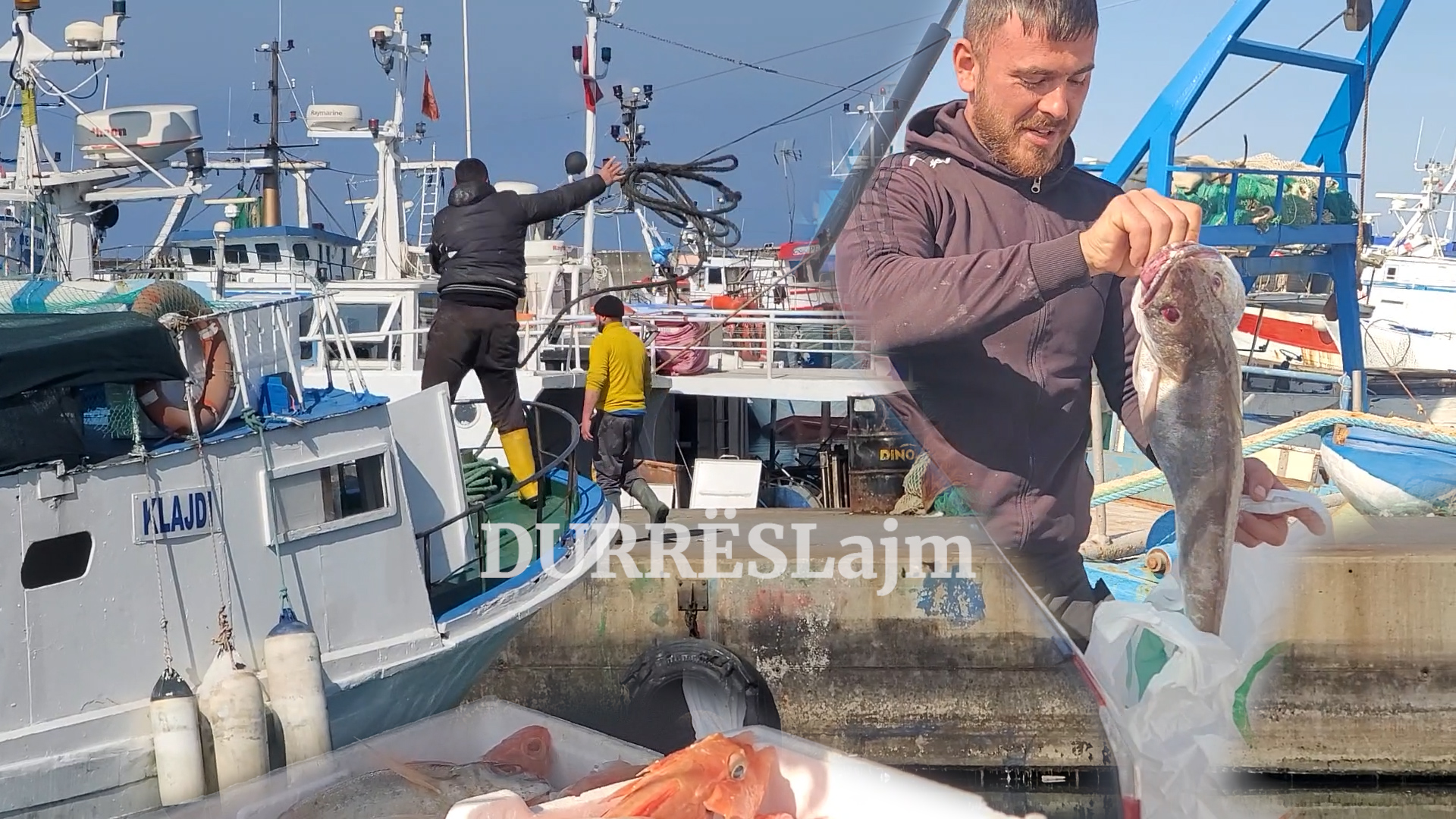 Sektori i peshkimit në Durrës rrezikon kolapsin nga çmimi i naftës, peshkatarët: Do i mbyllim dhe nuk dalim më (VIDEO)