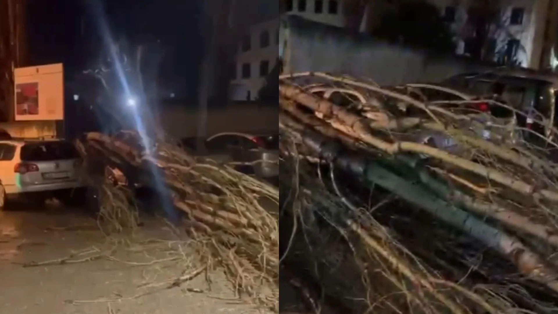 Era e fortë rrëzon pemët në Vlorë, shembet muri i shkollës