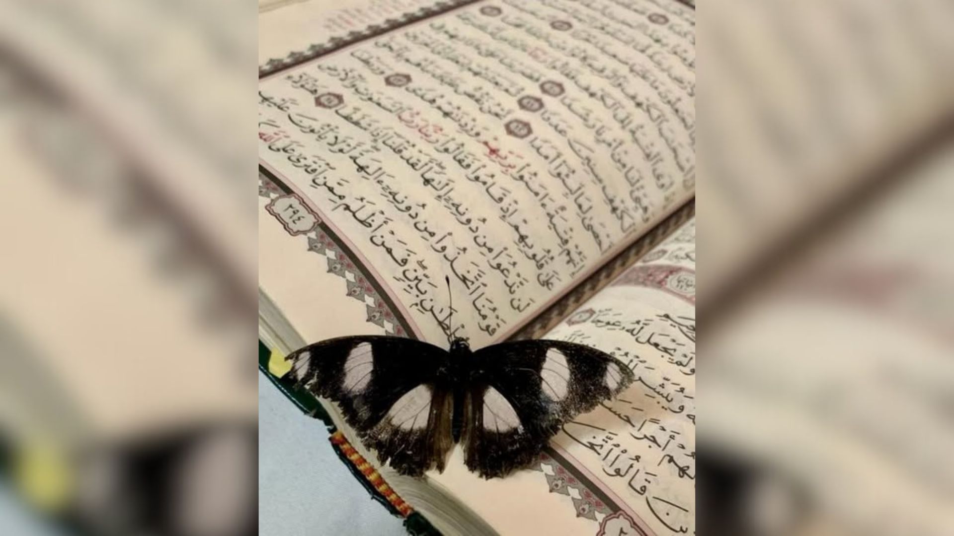 Fitër Bajrami, kryeministri Edi Rama iu uron besimtarëve shqiptarë festën e shenjtë