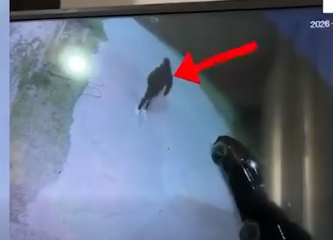 I dogji makinën 26-vjeçares pas sherrit me familjarin e saj, arrestohet i riu në Tiranë