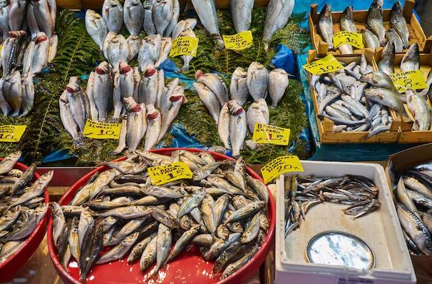 Jo të gjithë peshqit janë të shëndetshëm, ja cilët nuk duhet t’i hani, sidomos gratë shtatzëna