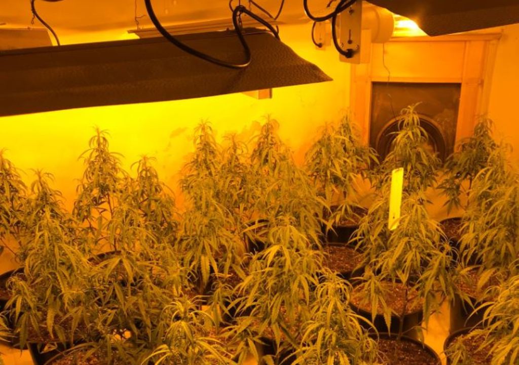 Nuk raportoi lidhjen e paligjshme të energjisë në “shtëpin e barit”, procedohet shefi i OSHE-së në Shijak