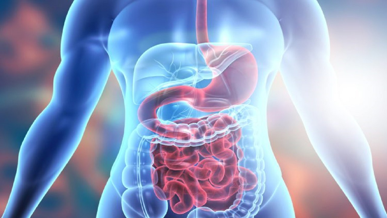 Kanceri i zorrës së trashë, zbuloni dietën ushqimore që rrit rrezikun e sëmundjes