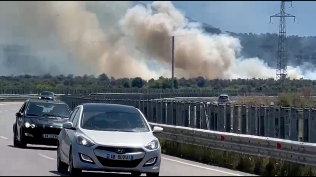 Zjarr i përmasave të mëdha në ullishtet e Panajasë, era e fortë përhap me shpejtësi flakët