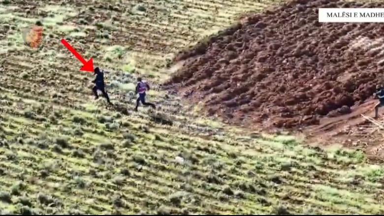 Kultivonin bimë narkotike, arrestohen tre familjarë dhe shpallet në kërkim një tjetër