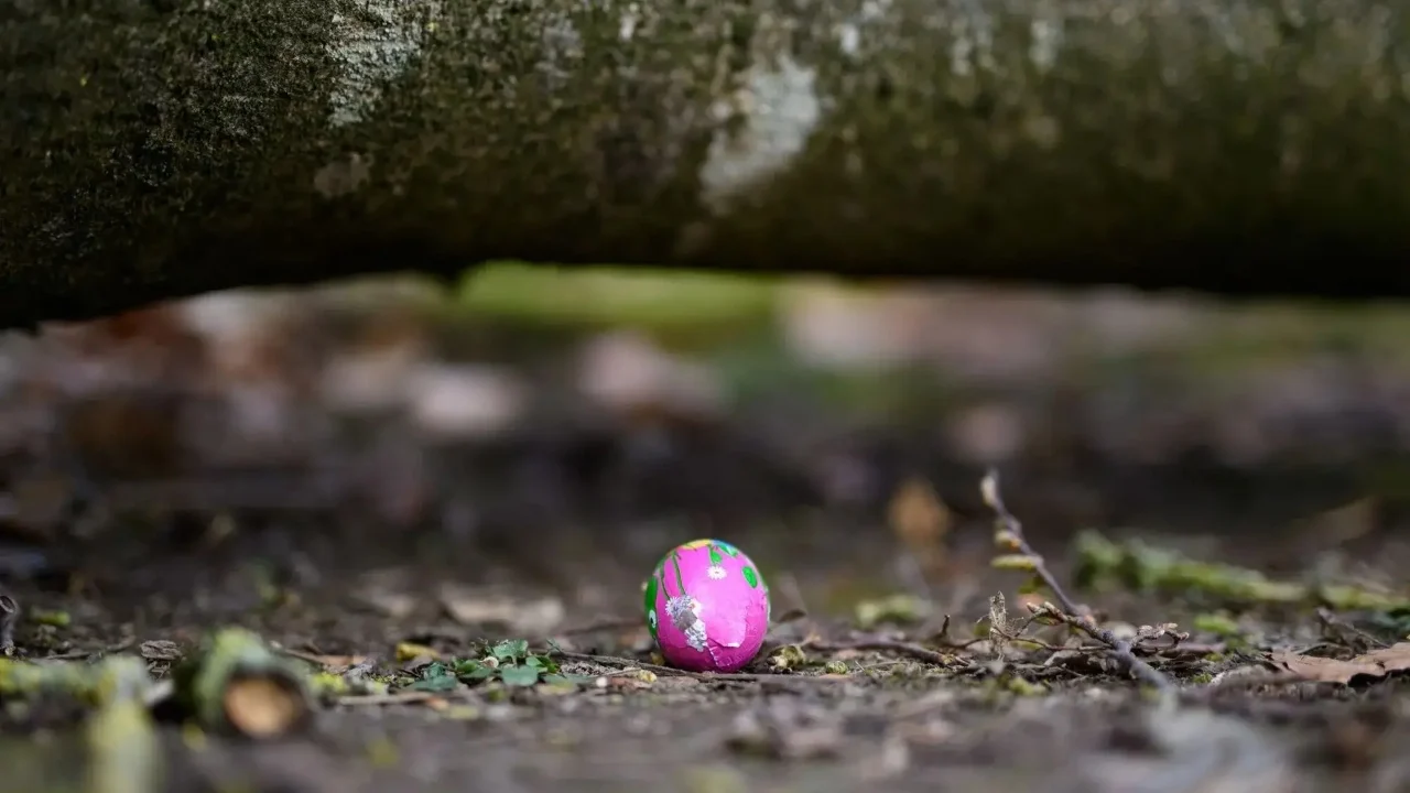 Pema rrëzohet nga era e fortë në Gjermani, tre persona humbin jetën, mes tyre një foshnje