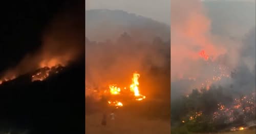 Zjarr në malin e Koshnicës në Gramsh, thirrja e zjarrfikëses: A nuk mjaftoi vera e kaluar, historia rrezikoi të përsëritej