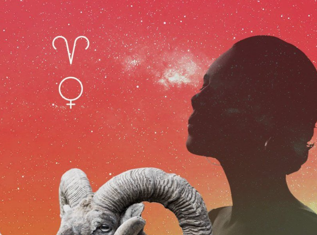 E lindur për të komanduar/ Pse gruaja Dash nuk pranon të jetë ‘e dyta’