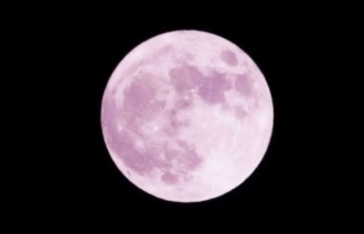 “Hëna Rozë” ndriçon sot qiellin: Çfarë është dhe pse quhet kështu? 