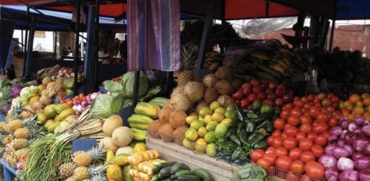 Bie çmimi i perimeve në treg, prodhimi vendas dominon Lushnjën, kërkesa rritet ndjeshëm 