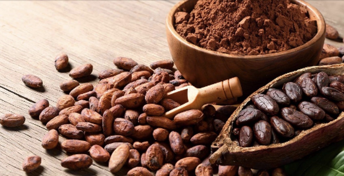 Zgjidhja e papritur/ Si kafeja neutralizon erërat e pakëndshme në shtëpi 