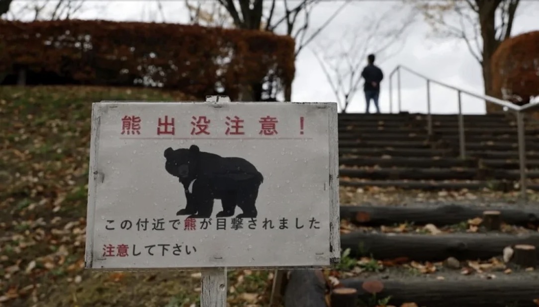 Arinjtë zgjohen nga gjumi letargjik ndërsa Japonia përgatitet për një valë të re sulmesh 