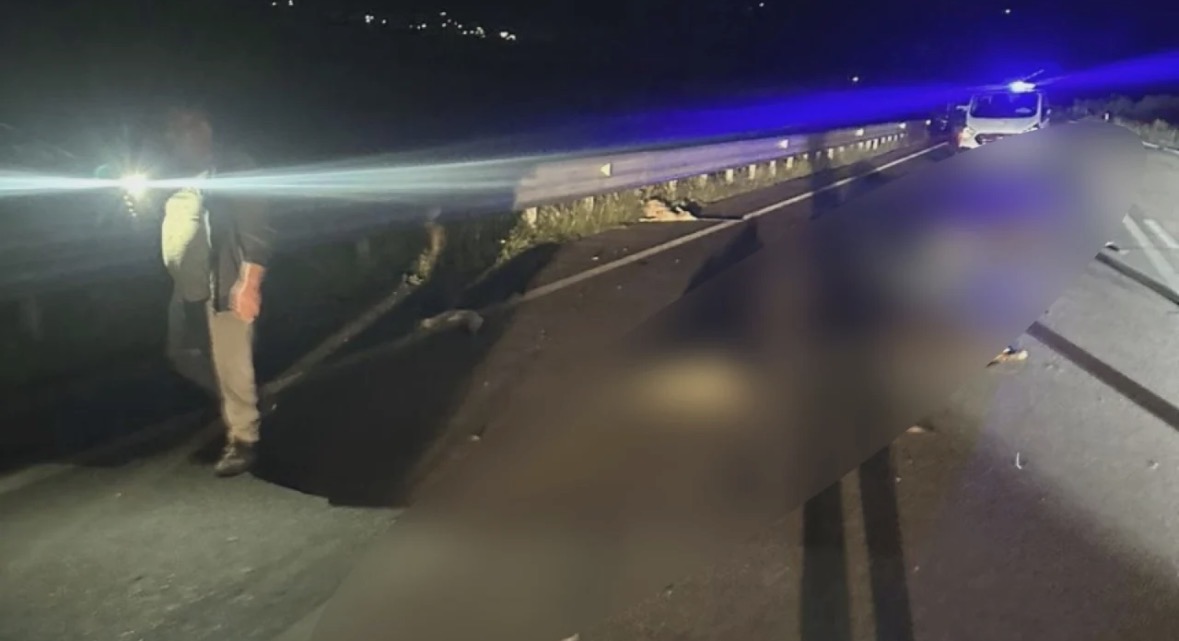 Aksident në aksin Orikum-Vlorë/ Automjeti përplas 10 bagëti, lëndohet edhe çobani