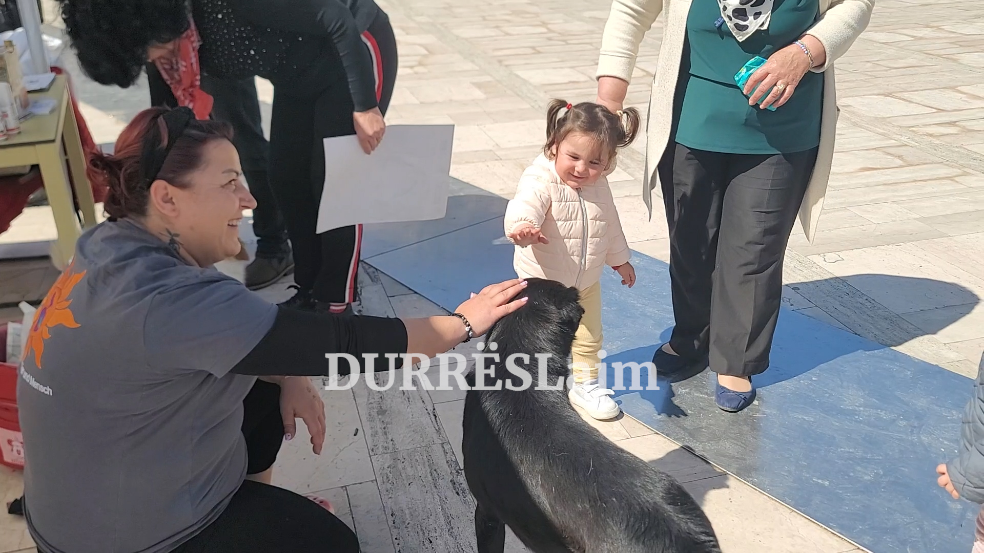 Durrës, aktivitet sensibilizues për ndërgjegjësimin e komunitetit ndaj kafshëve të rrugës (VIDEO)