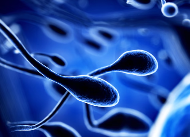 Ekspozimi ndaj toksinave dhe ndryshimeve klimatike ul pjellorinë!