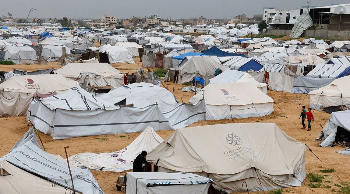 Minjtë, pleshtat dhe parazitët pushtojnë kampet në Rripin e Gazës, mungesë uji dhe frikë nga përhapja e zgjebes!