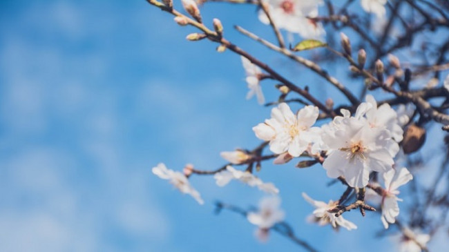 Temperatura deri në 25 gradë, ja parashikimi i motit për sot