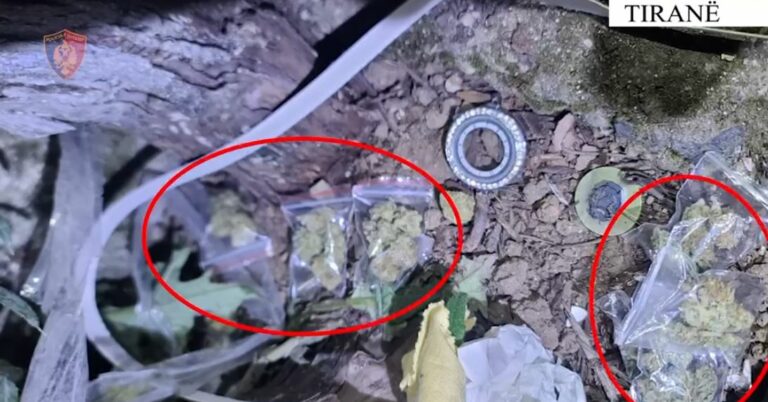 Zbulohen dy raste të shpërndarjes së kokainës dhe kanabisit, 3 të arrestuar