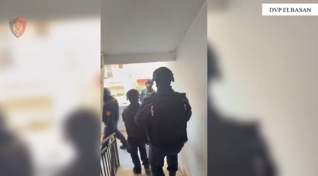 Operacioni anti-drogë në Elbasan, Policia jep detaje