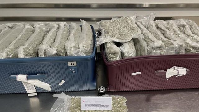 Po transportonte nga Bangkoku drejt Italisë një valixhen të mbushur me drogë, arrestohet 21-vjeçari shqiptar pas zbritjes në aeroport