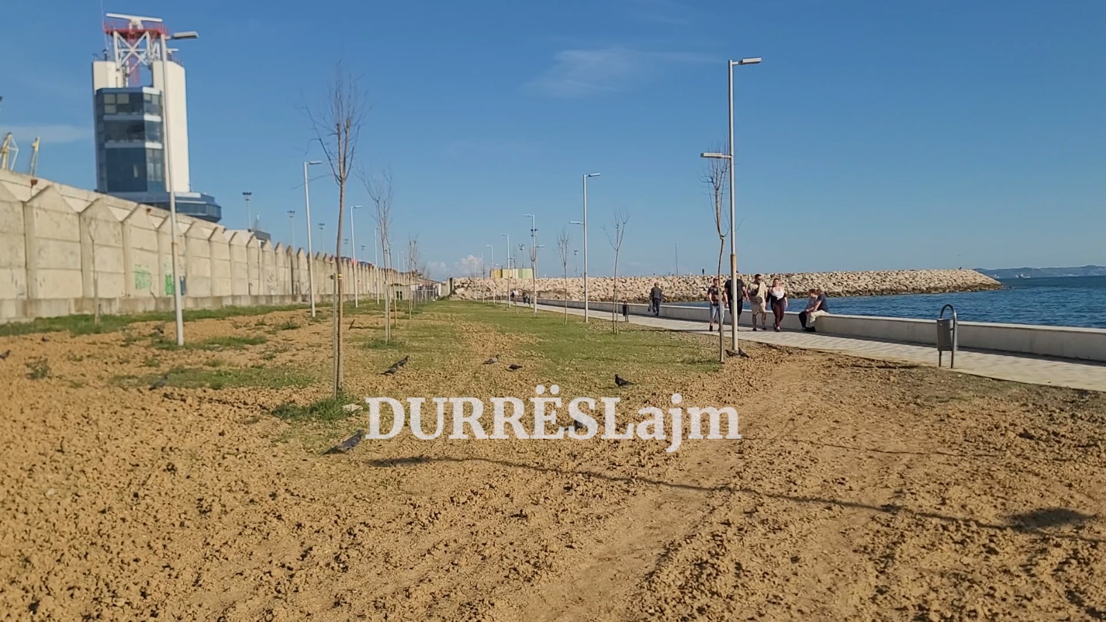 Durrës, ishte projektuar të kthehej në sipërfaqe të gjelbërt, por pemët dekorative janë… tharë! (VIDEO)