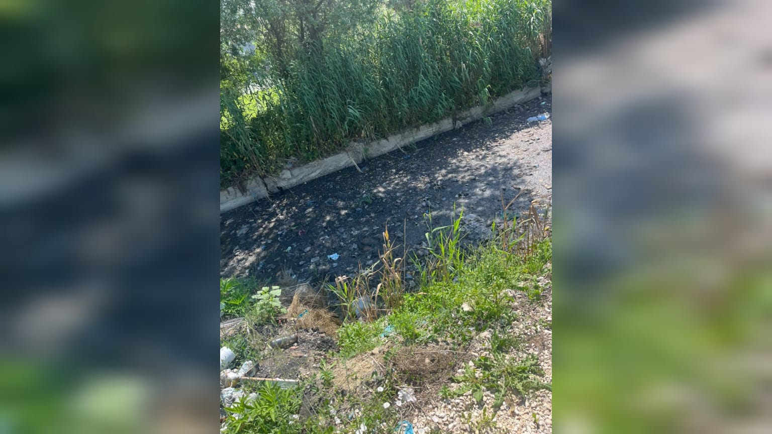 “Po jetojmë mes ndotjes”/ Banorët denoncojnë gjendjen e kanalit në Rrashbull: Ujërat e zeza kanë dalë në sipërfaqe (VIDEO)