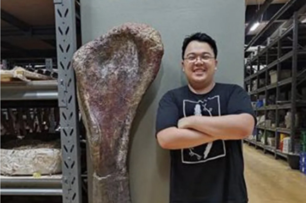Një lloj i ri dinosauri gjigant identifikohet nga fosilet në Tajlandë