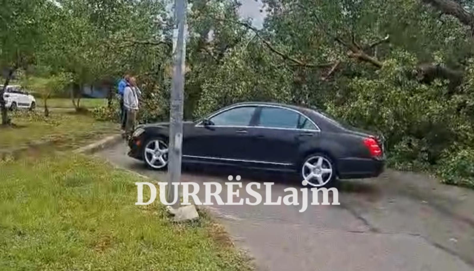 Stuhia rrëzon pemën në Durrës, zë përfund makinën (VIDEO)
