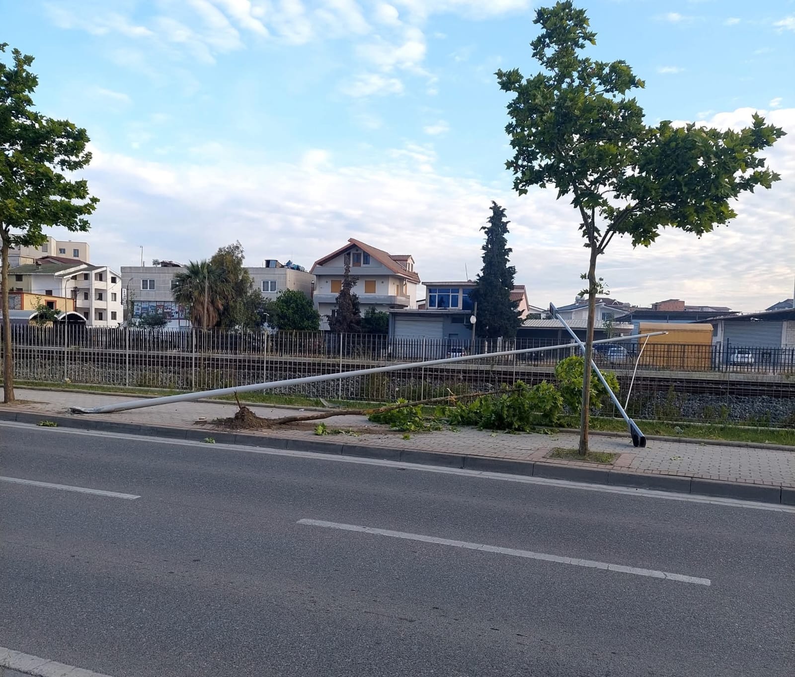 Makina merr përpara shtyllën dhe pemën në Durrës