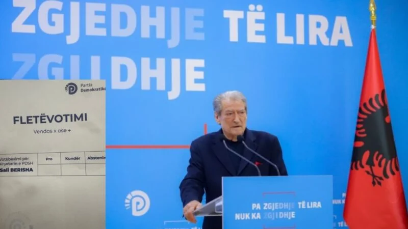 Mbyllet votimi për zgjedhjen e kryetarit të Partisë Demokratike