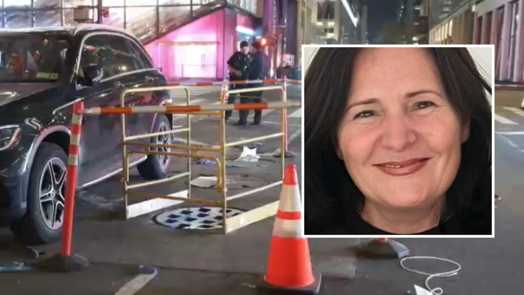 “Po vdes”! Zbriti nga makina dhe u zhduk në pusetë! Humb jetën shqiptarja në New York (FOTO)