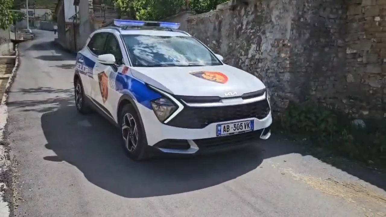 I merrnin para qytetarëve shqiptarë përmes faqeve dhe sms-ve të falsifikuara të Postës Shqiptare, arrestohet një 22-vjeçar francez, shpallet në kërkim një shtetas gjerman