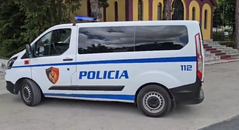Plagosja në Mamurras, policia jep sqarimin: Tentuan të përplasin efektivët me makinë, 23-vjeçari te Trauma ishte në kërkim ndërkombëtar (EMRI)