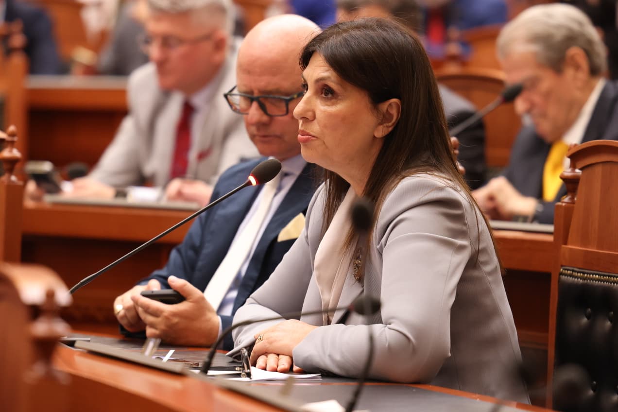 Sa demokratik është procesi, kur anëtarët e PD kanë vetëm një kandidat? Topalli: Rasti i Berishës është unik, ka tejkaluar politikën dhe ka hyrë në simbolikë