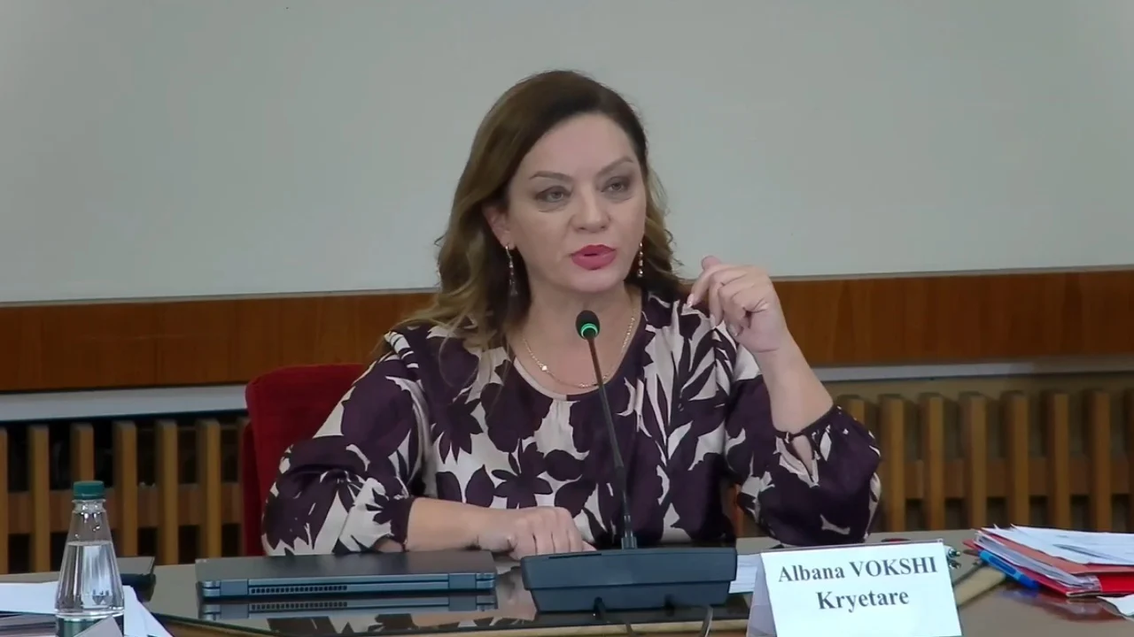 Referendumi për Berishën, mbi 19 mijë anëtarë votuan deri në orën 13:00, pjesëmarrja rreth 37%
