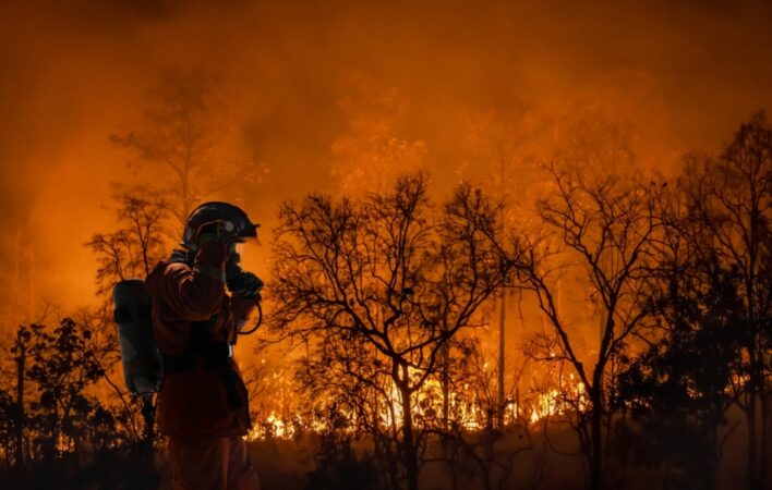 Alarmi i studiuesve: 2026 mund të jetë viti më i keq i zjarreve në histori, El Niño dhe ndryshimet klimatike rrisin rrezikun
