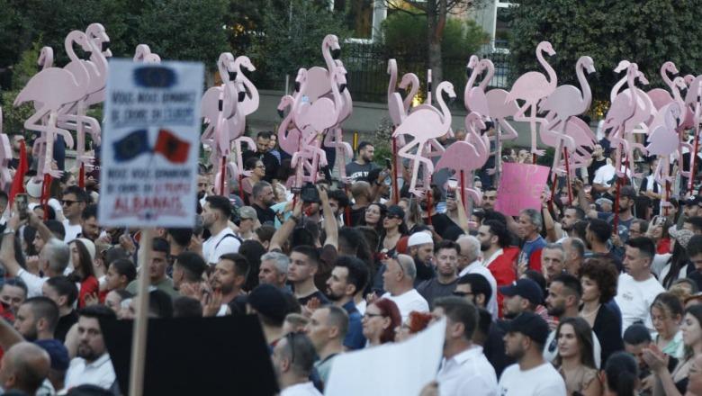 Protestat/ Rama: Rruga për në ferr është e shtruar me qëllimet e mira të ‘flamengove’, por ata s’pranojnë të dëgjojnë faktet
