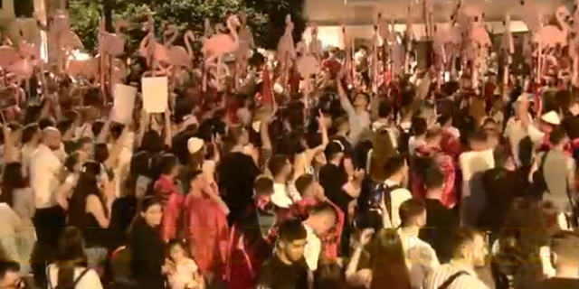 FOTOLAJM/ Protesta e 19 kundër Ramës, Bulevardi mbushet me ‘flamingo’