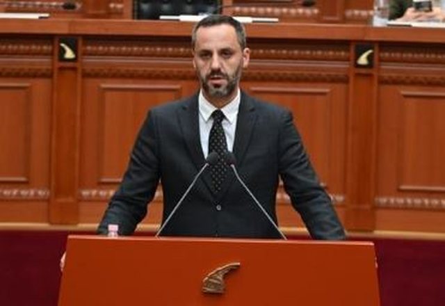 “Nuk jeni diasporë”/ Ministri Lamallari ndaj protestuesve nga Maqedonia dhe Kosova: Jeni të mirëpritur, por kurseni refrenin e emigrantit