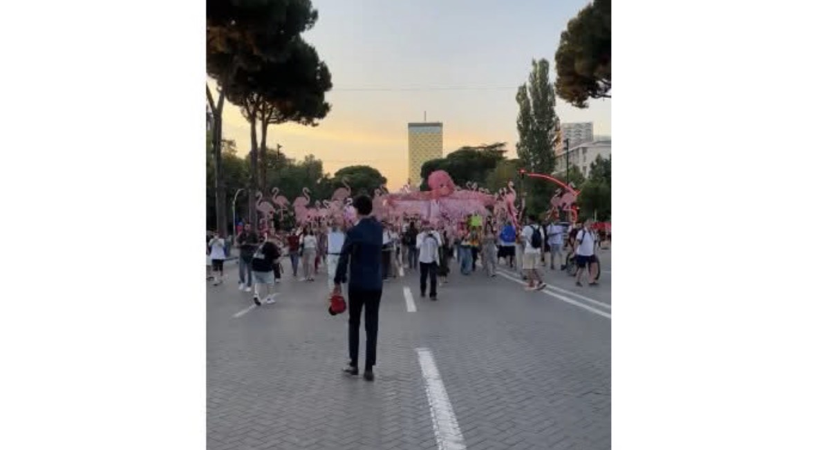 ‘Flamingot’ marshojnë në rrugët e Tiranës