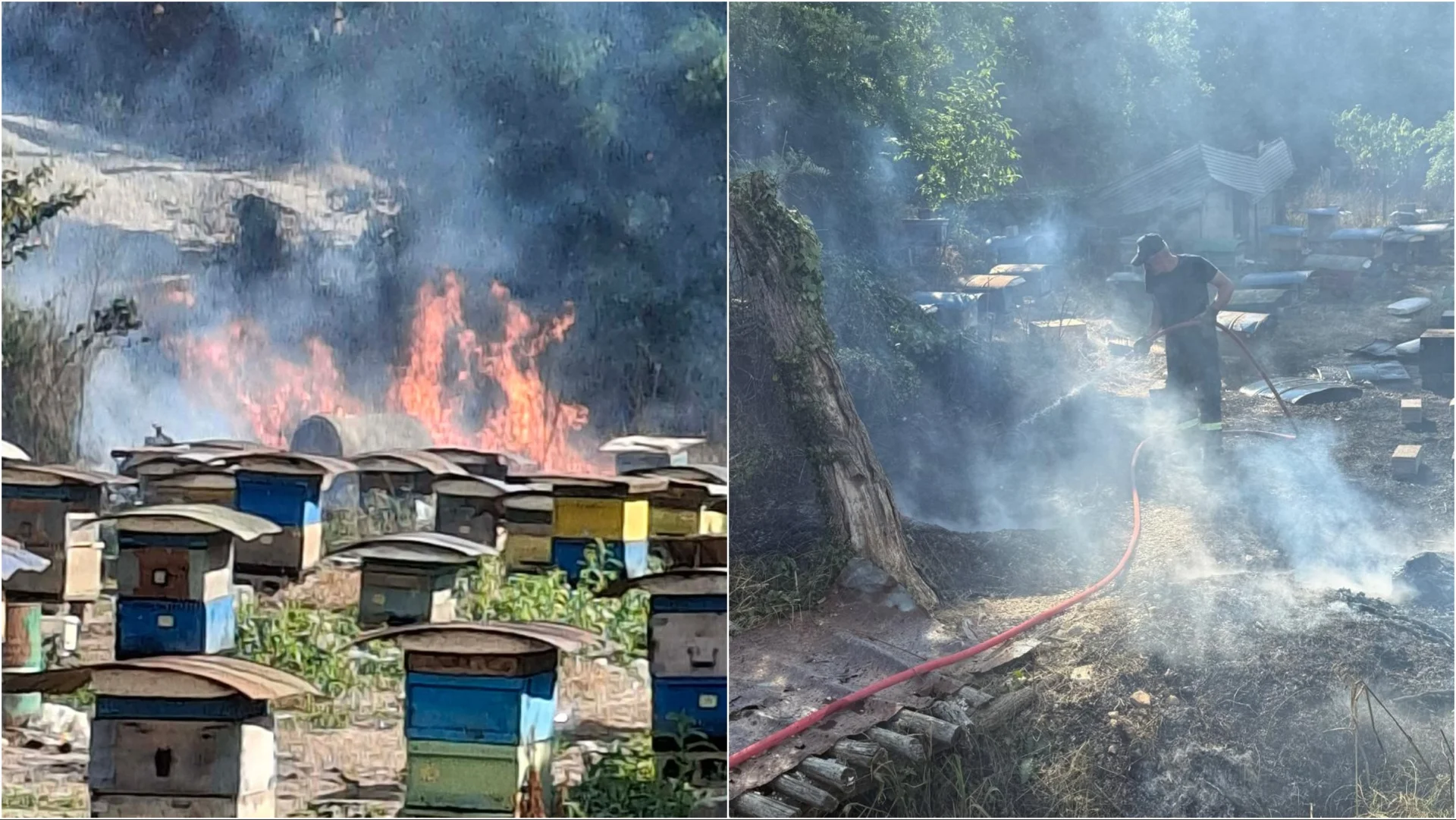 Zjarr në Gjirokastër, rrezikohen banesat e fshatit dhe kosheret e bletëve