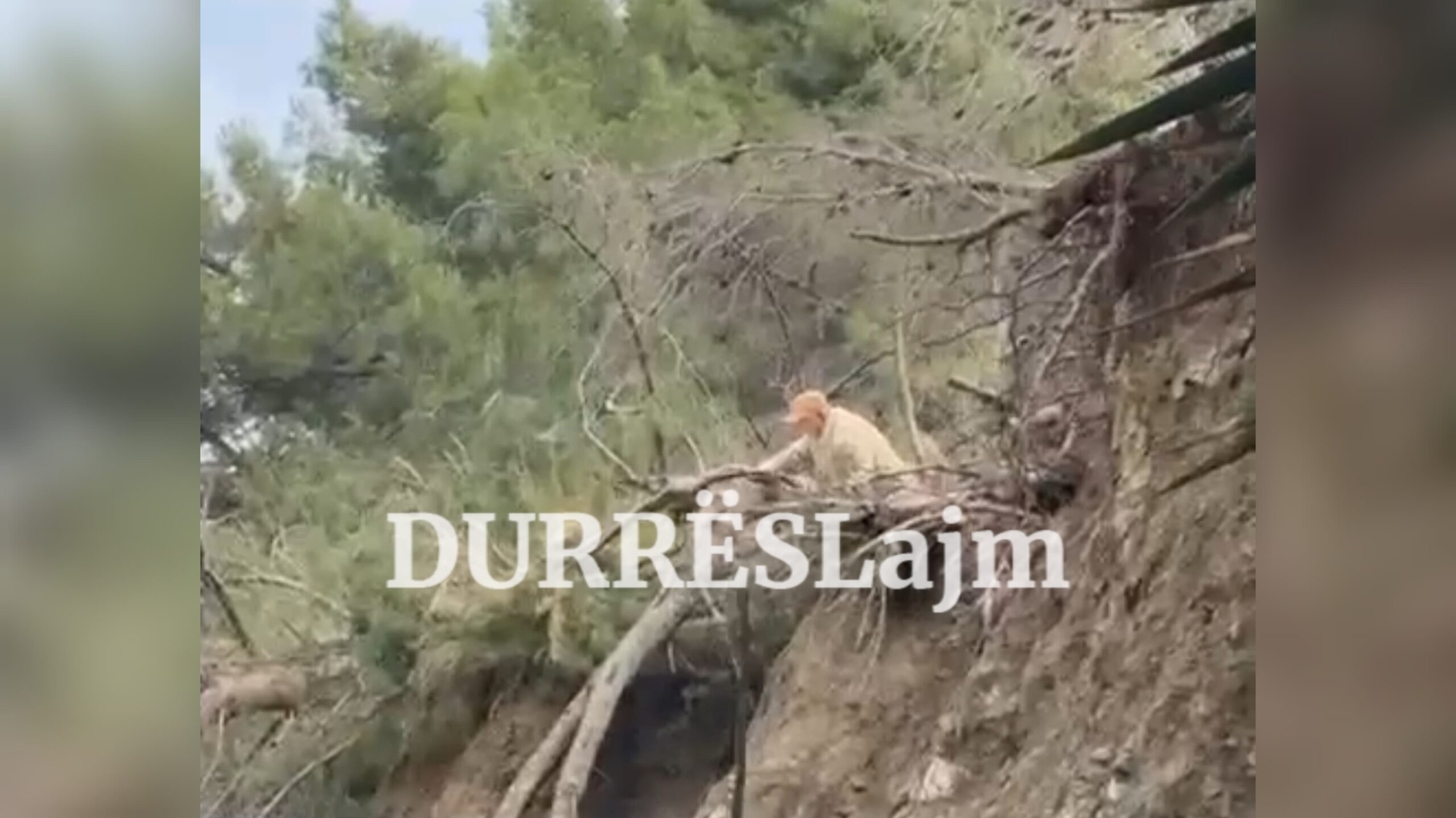 Çfarë ndikoi në rrëshqitjen e kodrës në Currila?